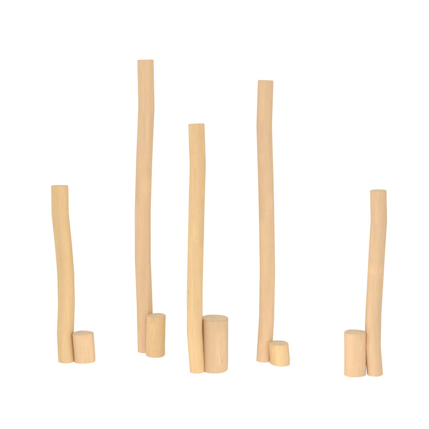ROBINIA RB1261