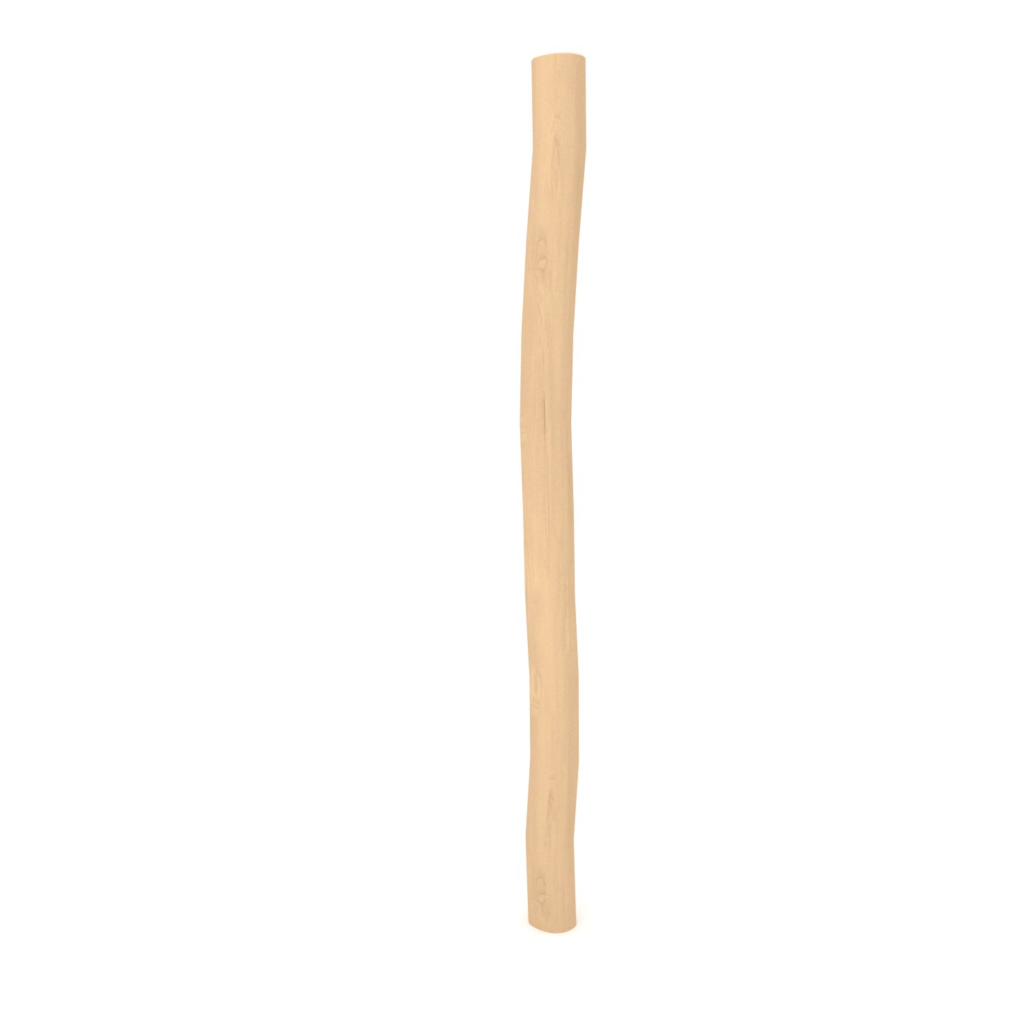 ROBINIA RB0953